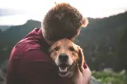 Ocho señales clave que demuestran el amor y confianza de tu perro hacia ti