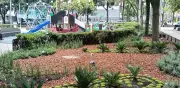 Parque 93 de Bogotá se convierte en corredor ecológico con casi 6.000 plantas nativas