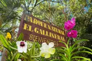 Parque El Gallineral de San Gil acogerá exposición de orquídeas en Semana Santa
