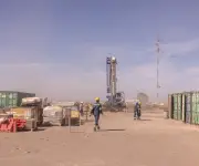 Phoenix invertirá US$6.000 millones en Vaca Muerta tras incentivos del gobierno de Milei