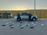 Policía de Bolívar incauta 16.509 dosis de marihuana en camión de carga en ruta Bogotá-Cartagena