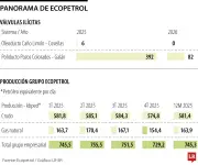Refinación ilegal impacta con US$81 millones al Grupo Ecopetrol entre 2025 y 2026
