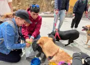 Second Chances abre convocatoria de voluntariado para estudiantes y empresas en Bogotá