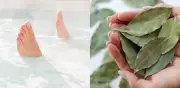 Sumergir los pies en agua de laurel: beneficios y precauciones de este ritual semanal