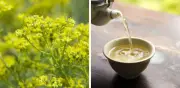 Té de ruda: riesgos de toxicidad y contraindicaciones que ponen en peligro la salud