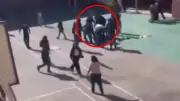 Tragedia en colegio: estudiante asesina a funcionaria y deja cuatro heridos en plena clase
