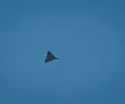 Zelenski ofrece expertos ucranianos contra drones iraníes a cambio de tregua en guerra