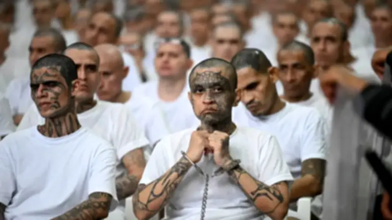 220 miembros de la MS-13 escuchan relatos de torturas en juicio masivo en El Salvador