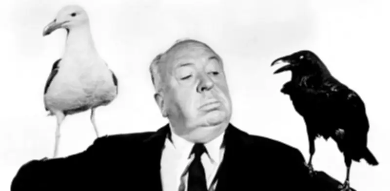 A 50 años de 'Trama Macabra': El épico adiós cinematográfico de Alfred Hitchcock