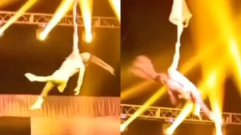 Acróbata sufre grave caída durante función de circo reconocido en Colombia
