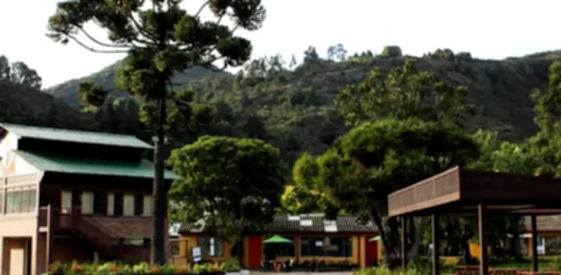 Acreedores cuestionan finanzas del Colegio Refous en proceso de reorganización