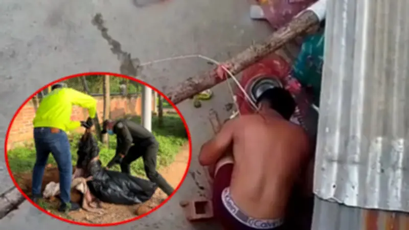 Acto atroz en Bucaramanga: perrita maltratada es hallada muerta en la ciudad