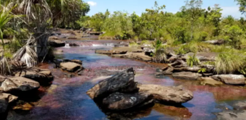 Alarma en Guaviare: Ordenanza busca excluir al departamento de la región Amazónica