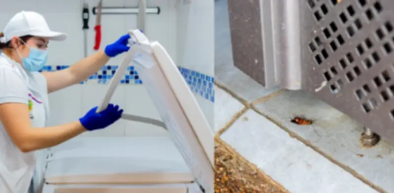 Alcaldía de Ibagué clausura tres carnicerías por infestación de cucarachas en controles sanitarios