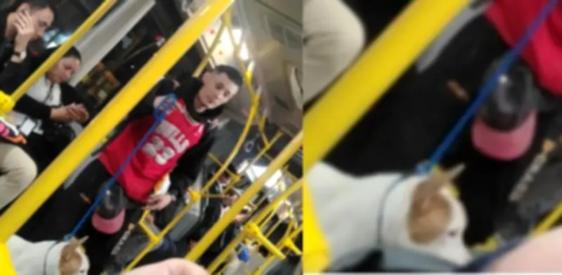 Alertan por hombre que usa perros en mal estado para pedir dinero en TransMilenio