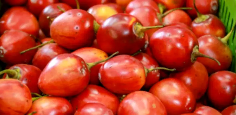 Alimentos frescos presionan inflación en marzo por menor oferta y factores estacionales