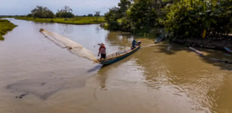 Amansaguapos: de conflicto a esperanza para 450 familias agropescadoras en Sucre y Córdoba