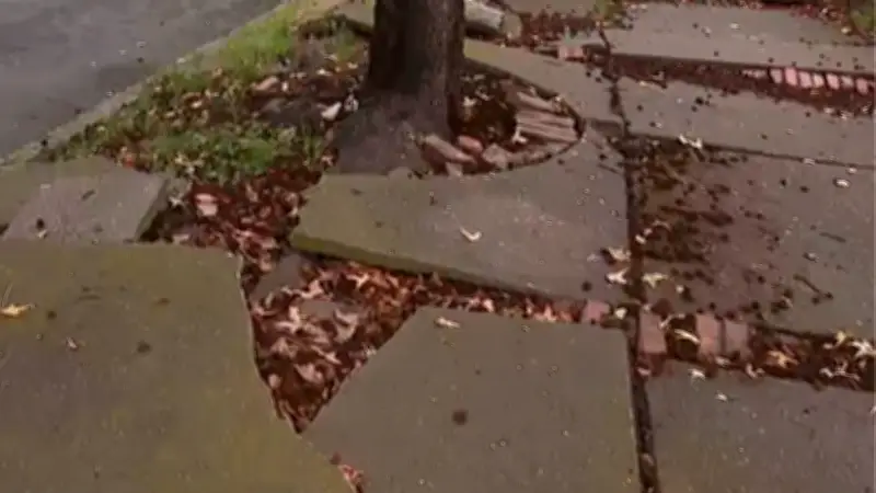 Andenes de Ciudad Salitre: Peligro por deterioro y microtráfico en Bogotá