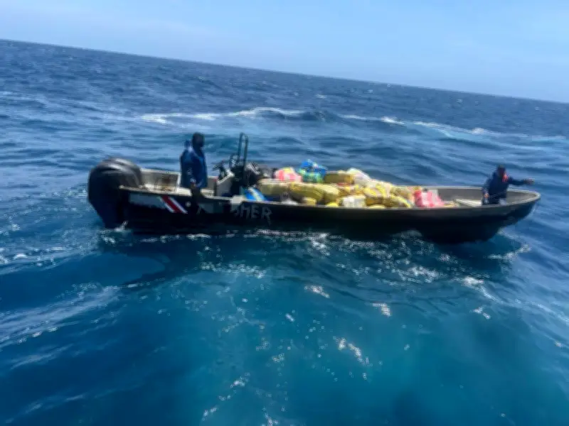 Armada colombiana incauta 1,7 toneladas de marihuana en operación de rescate en Buenaventura