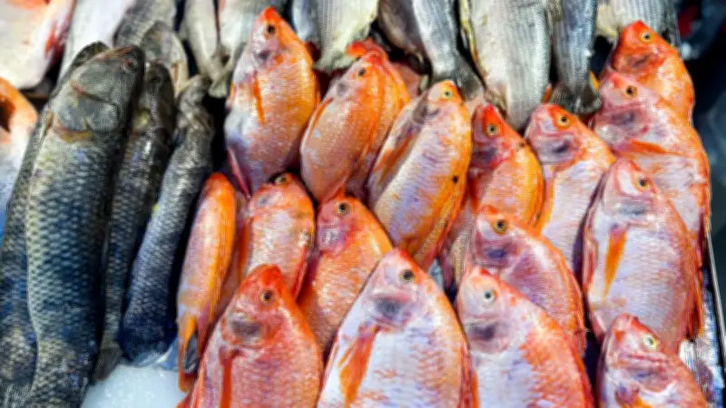 Así opera la venta de pescado en 20 puntos de la Plaza Minorista de Medellín en Semana Santa