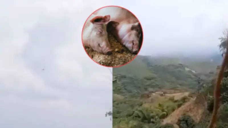 Ataque con drones en Jamundí deja civiles en riesgo y paraliza actividades rurales