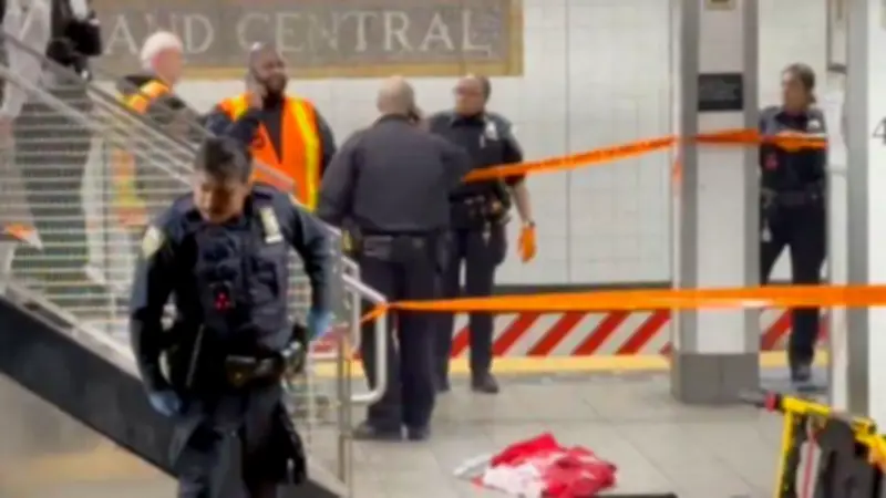 Ataque con machete en estación Grand Central de Nueva York deja tres ancianos heridos