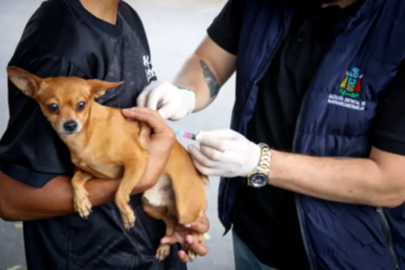 Barrancabermeja intensifica jornadas de vacunación antirrábica en abril para proteger a mascotas y comunidad