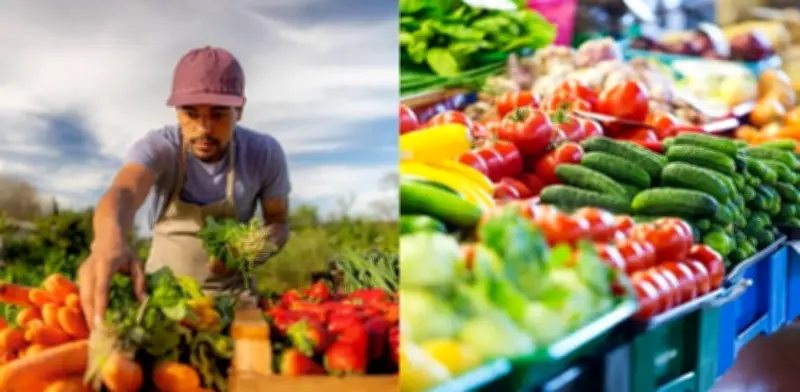 Bogotá abre convocatoria para que campesinos almacenen productos en plataforma logística de Ciudad Bolívar