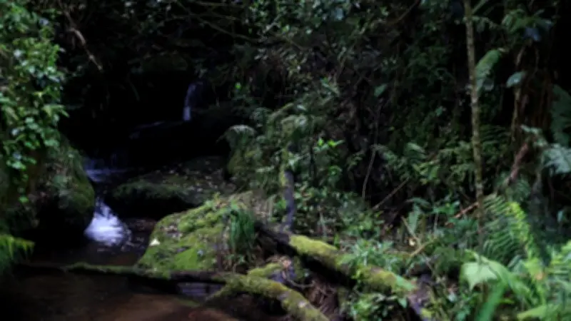 Bogotá cerrará senderos ecológicos en Jueves y Viernes Santo 2026 por seguridad