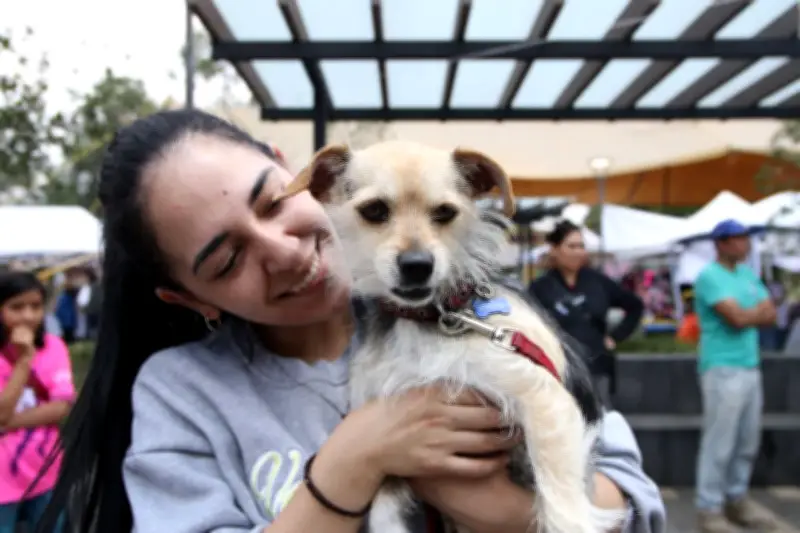 Bogotá impulsa jornadas de adopción de mascotas bajo el lema 'Adoptar es Amar sin Condiciones'