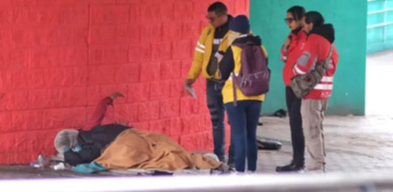 Bogotá intensifica atención a habitantes de calle en TransMilenio con 37 acogidas en 2026