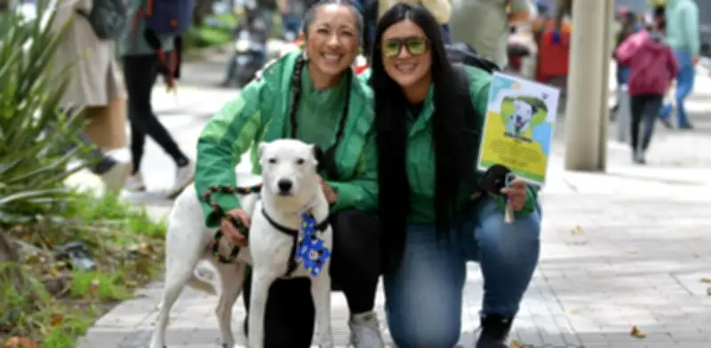 Bogotá se consolida como modelo global en protección y bienestar animal con resultados concretos