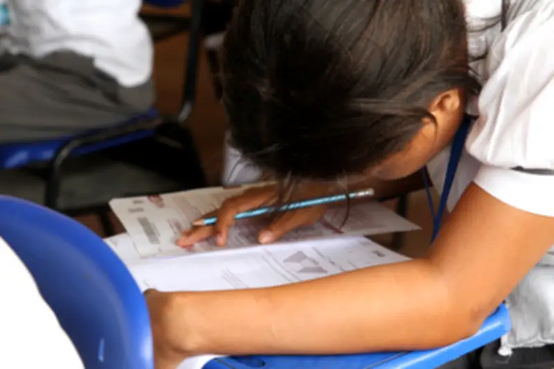 Brecha educativa en Cartagena: Colegios públicos mejoran mientras privados muestran tendencia a la baja