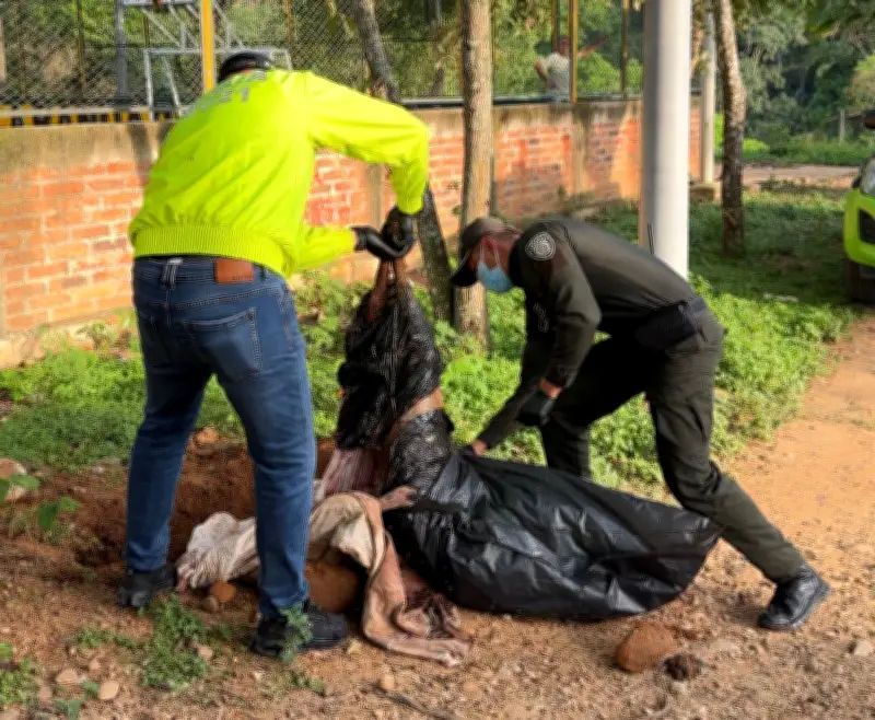 Bucaramanga conmocionada por brutal maltrato animal que terminó con la muerte de una perra