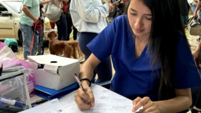 Bucaramanga ofrece jornadas gratuitas de esterilización en abril para control poblacional