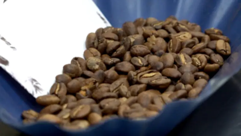 Cafés del Valle del Cauca conquistan medallas de oro en prestigioso concurso mundial en París