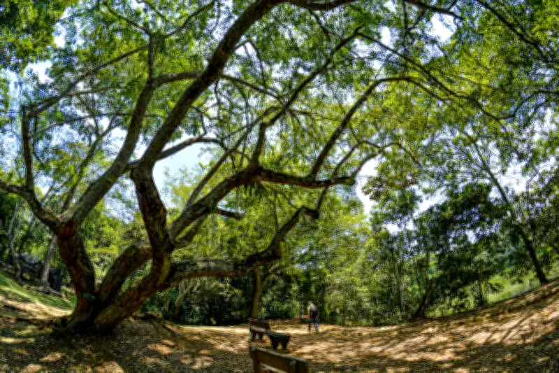 Cali ofrece 6 ecoparques gratuitos: senderos, avistamiento de aves y planes familiares