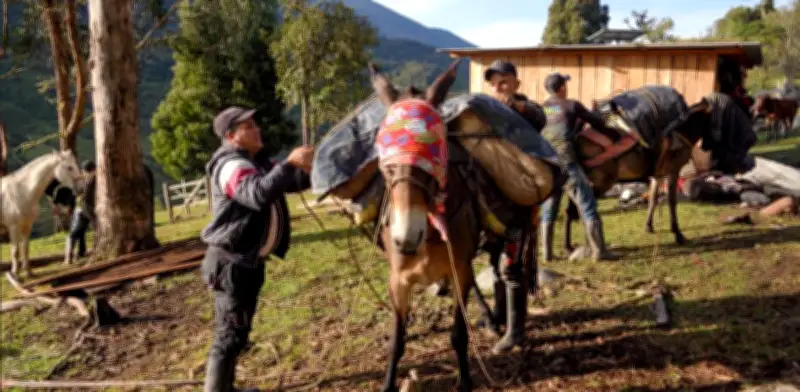 Campesinos de Uribe (Meta) construyen carretera con recursos propios ante abandono estatal