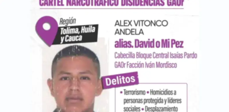 Capturan a alias Mi Pez, cabecilla de disidencias de Mordisco en Cauca y Huila