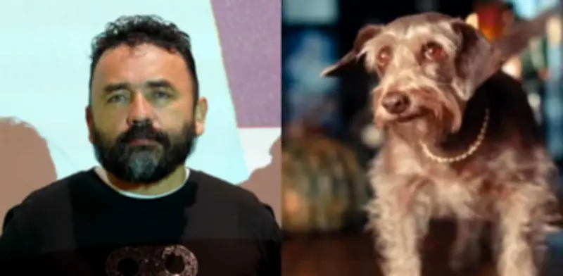 Capturan a alias 'Mison', líder de 'Los Maracuchos': joyas de oro para su perro y anillos de diamantes