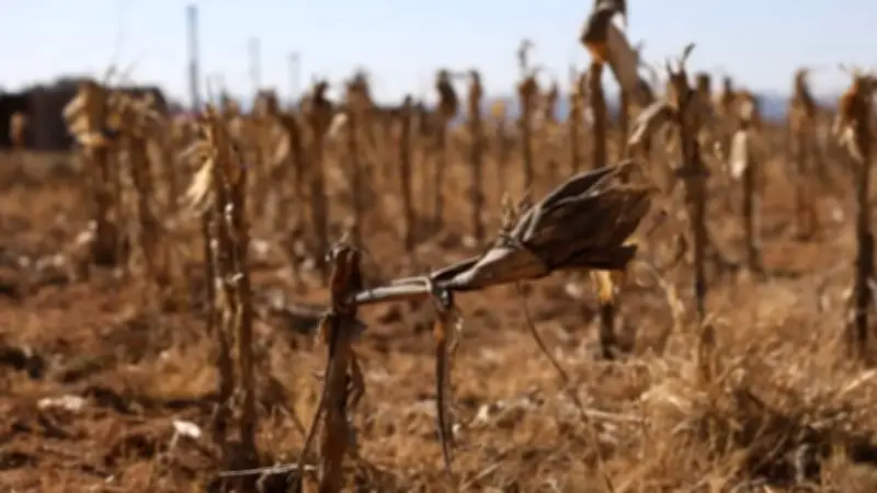 CAR advierte sobre posible ola de sequía por llegada del super El Niño en Colombia
