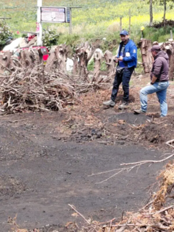 CAR decomisa madera talada ilegalmente en Soacha para carbón vegetal