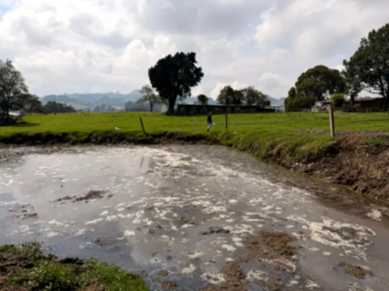 CAR sanciona establo en Zipaquirá por vertimientos de aguas residuales