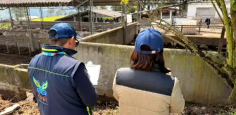 CAR suspende vertimientos ilegales de aguas residuales en Zipaquirá por riesgo ambiental