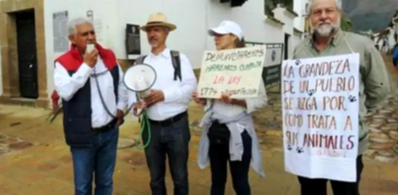 Caso aberrante de maltrato animal en Nariño: perro callejero muere tras agresión con agua hirviendo