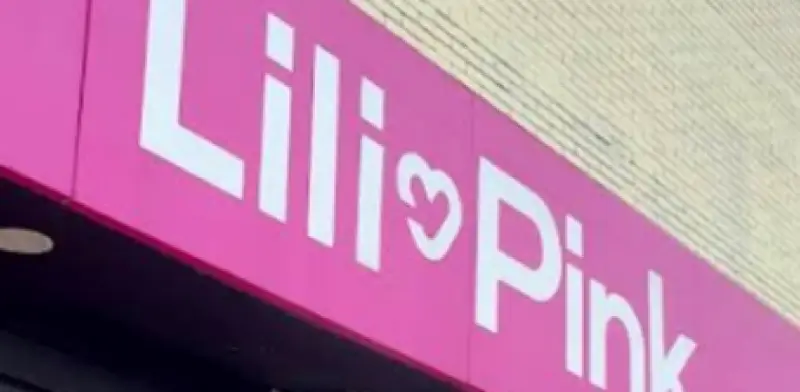 Caso Lili Pink: la fachada de ropa que lavó 730.000 millones de pesos