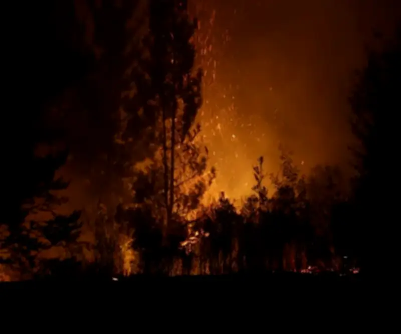 Chile declara alerta temprana por incendios en Valparaíso