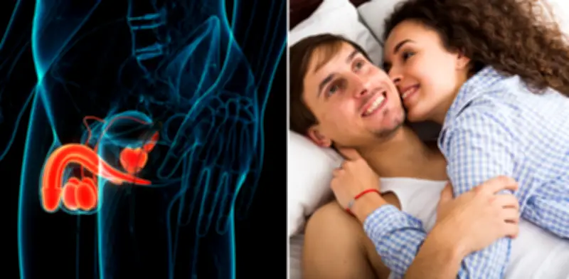 Ciencia descubre el 'punto G' masculino: una zona con mayor sensibilidad que el glande