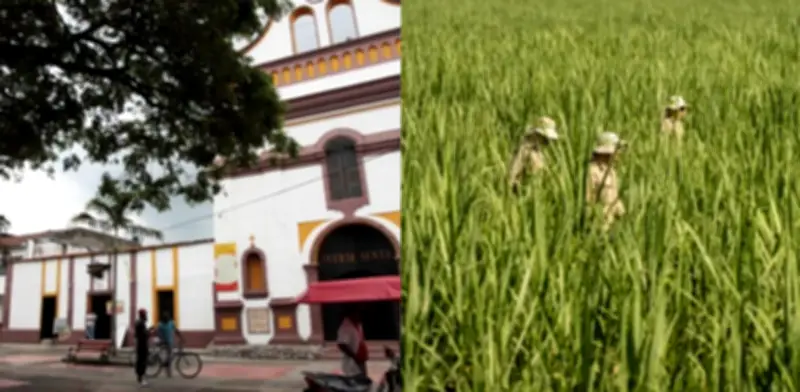 Cierre del ingenio María Luisa deja en crisis a 700 familias del Valle y Cauca