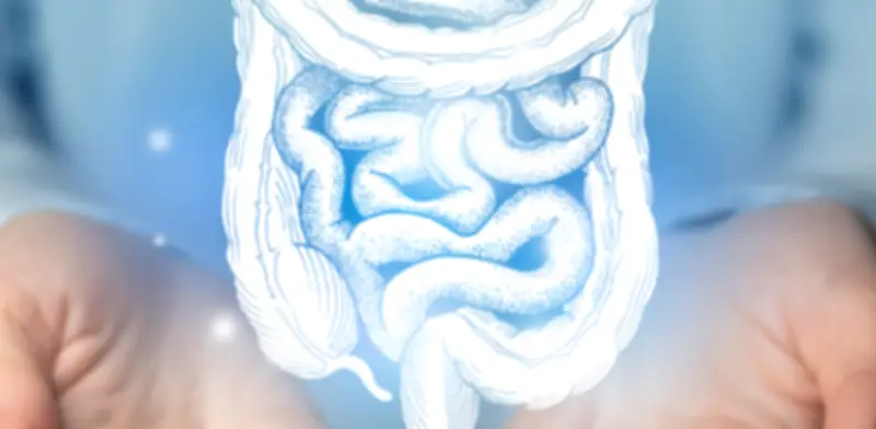 Clínica Mayo revela que la vitamina D reduce inflamación intestinal crónica en pacientes